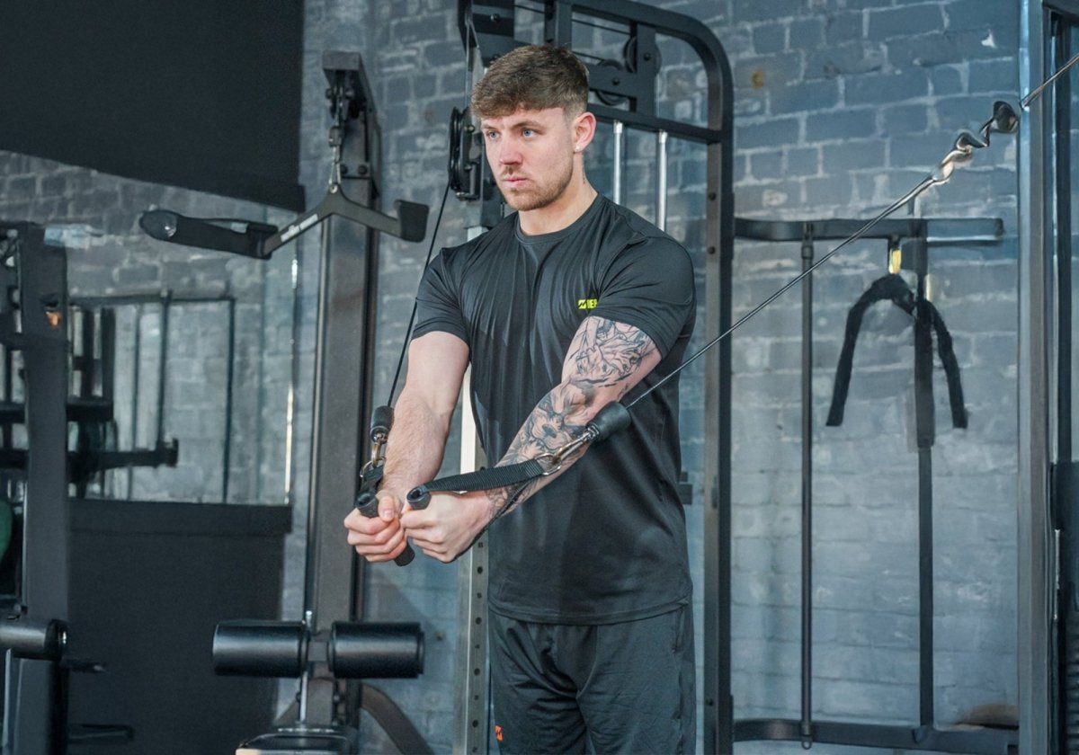 Back and Biceps Workout Exercises That Get Results